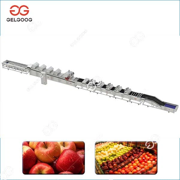 Fruit Processing Line